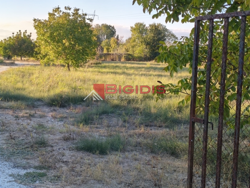 επενδυτικό αγροτεμάχιο