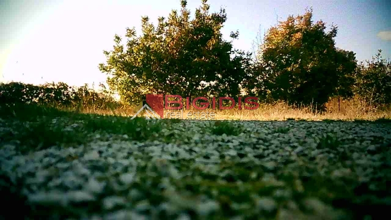 επενδυτικό αγροτεμάχιο
