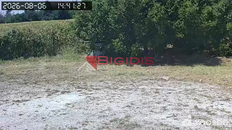 επενδυτικό αγροτεμάχιο