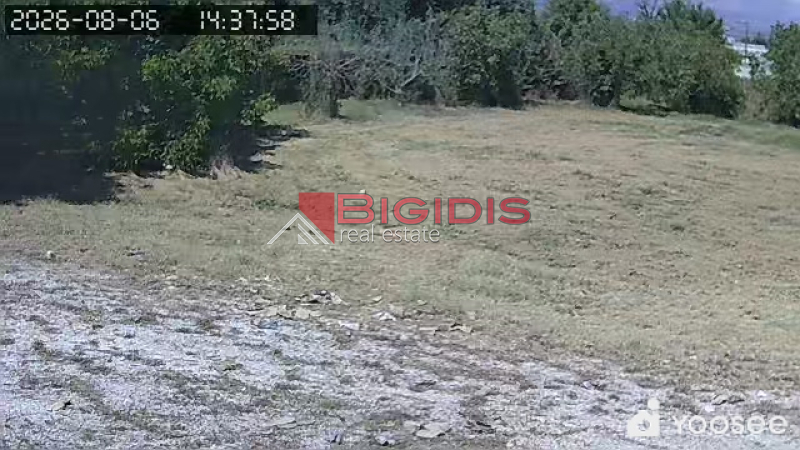 επενδυτικό αγροτεμάχιο