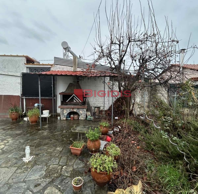 ΔΙΠΛΟΚΑΤΟΙΚΙΑ στην ακτη ΠΕΤΕΙΝΟΥ