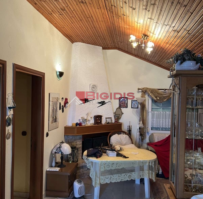 ΔΙΠΛΟΚΑΤΟΙΚΙΑ στην ακτη ΠΕΤΕΙΝΟΥ