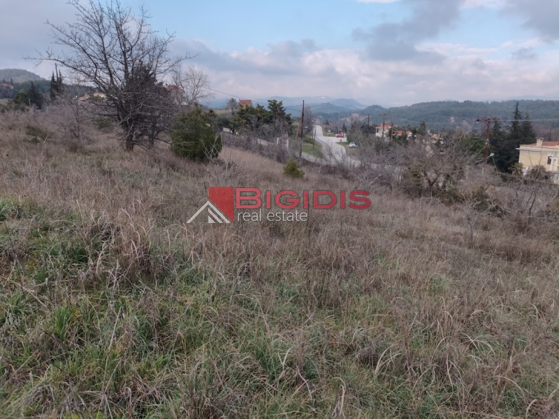 ΑΓΡΟΤΕΜΑΧΙΟ προνομιούχο αμφιθεατρικό