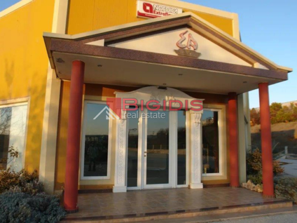 ΕΠΕΝΔΥΤΙΚΟ επαγγελματικό ακίνητο και για GOLDEN VISA