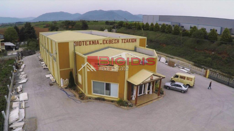 ΕΠΕΝΔΥΤΙΚΟ επαγγελματικό ακίνητο και για GOLDEN VISA