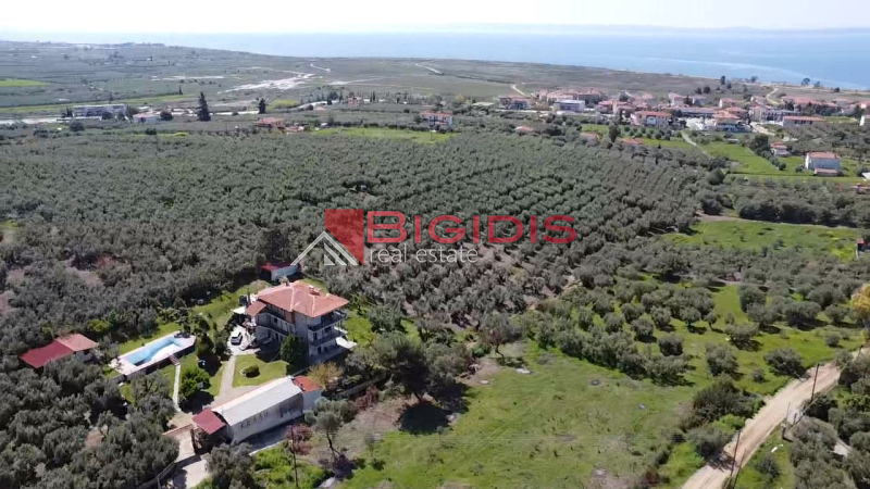 Ορμύλια Ψακούδια. ΠΩΛΕΙΤΑΙ οικοδομήσιμο αγροτεμάχιο με συνολική επιφάνεια 4166 τ.μ