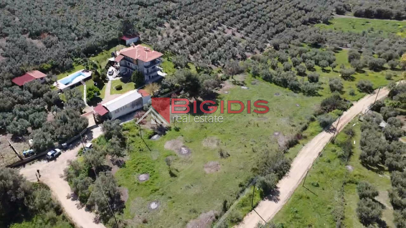 Ορμύλια Ψακούδια. ΠΩΛΕΙΤΑΙ οικοδομήσιμο αγροτεμάχιο με συνολική επιφάνεια 4166 τ.μ
