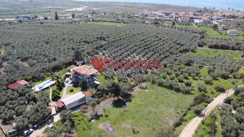 Ορμύλια Ψακούδια. ΠΩΛΕΙΤΑΙ οικοδομήσιμο αγροτεμάχιο με συνολική επιφάνεια 4166 τ.μ