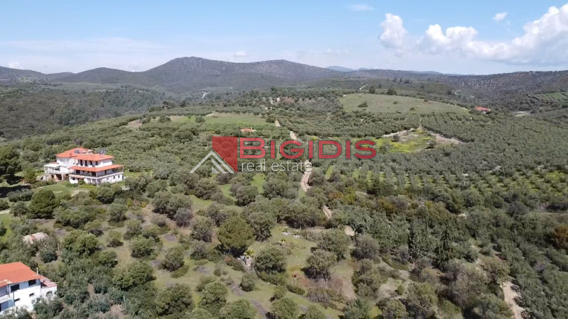 Ορμύλια Ψακούδια. ΠΩΛΕΙΤΑΙ οικοδομήσιμο αγροτεμάχιο με συνολική επιφάνεια 4166 τ.μ