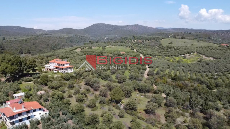 Ορμύλια Ψακούδια. ΠΩΛΕΙΤΑΙ οικοδομήσιμο αγροτεμάχιο με συνολική επιφάνεια 4166 τ.μ