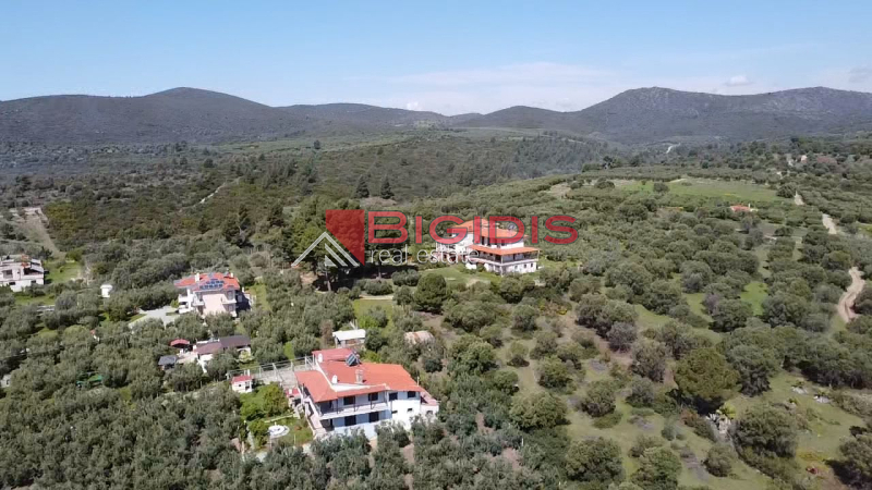 Ορμύλια Ψακούδια. ΠΩΛΕΙΤΑΙ οικοδομήσιμο αγροτεμάχιο με συνολική επιφάνεια 4166 τ.μ