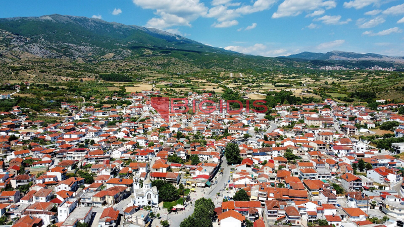 επενδυτικό ακίνητο στο ΝΕΟ ΣΟΥΛΙ