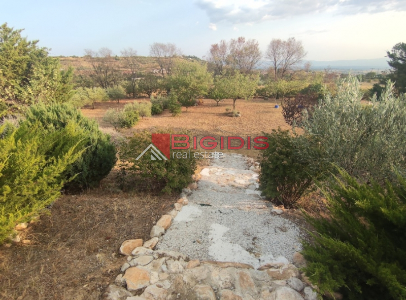 επενδυτικό ακίνητο στο ΝΕΟ ΣΟΥΛΙ