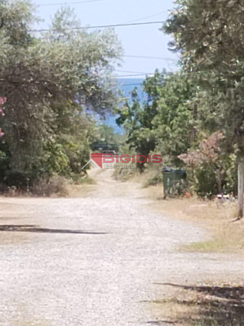 10-84547796 ΕΞΑΙΡΕΤΙΚΟ ΟΙΚΟΠΕΔΟ ΓΙΑ ΕΠΕΝΔΥΣΗ
