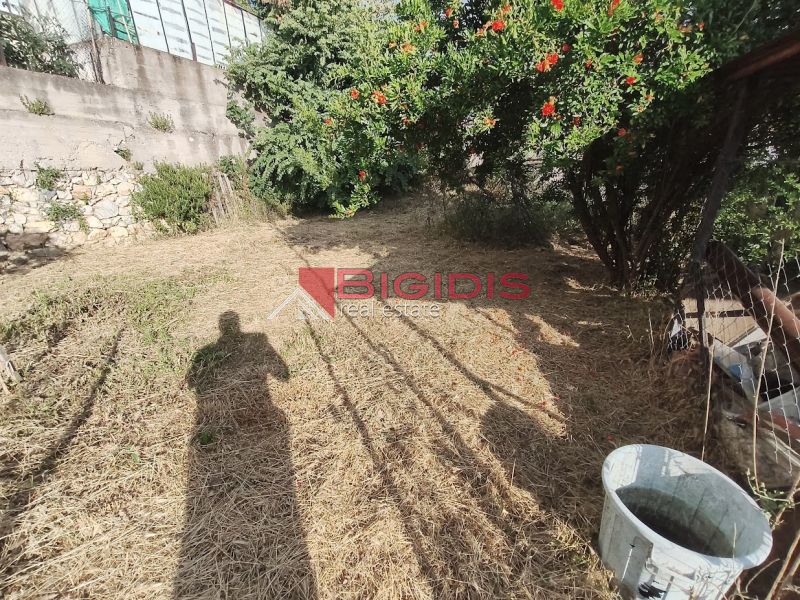 εξαιρετική διπλοκατοικία
