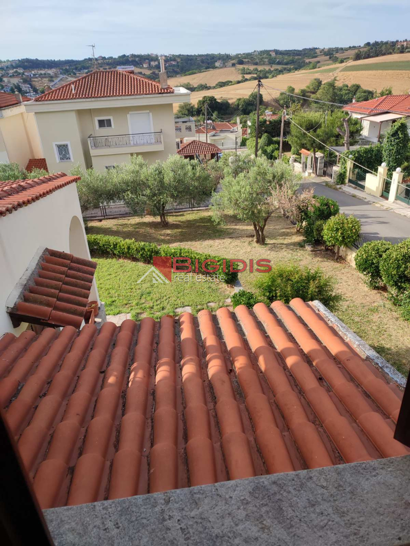ΕΞΑΙΡΕΤΙΚΗ ΒΙΛΑ