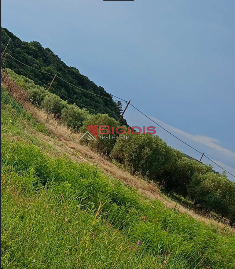10-85221065 ΑΓΡΟΤΕΜΆΧΙΟ μόνο για τροχόσπιτα .