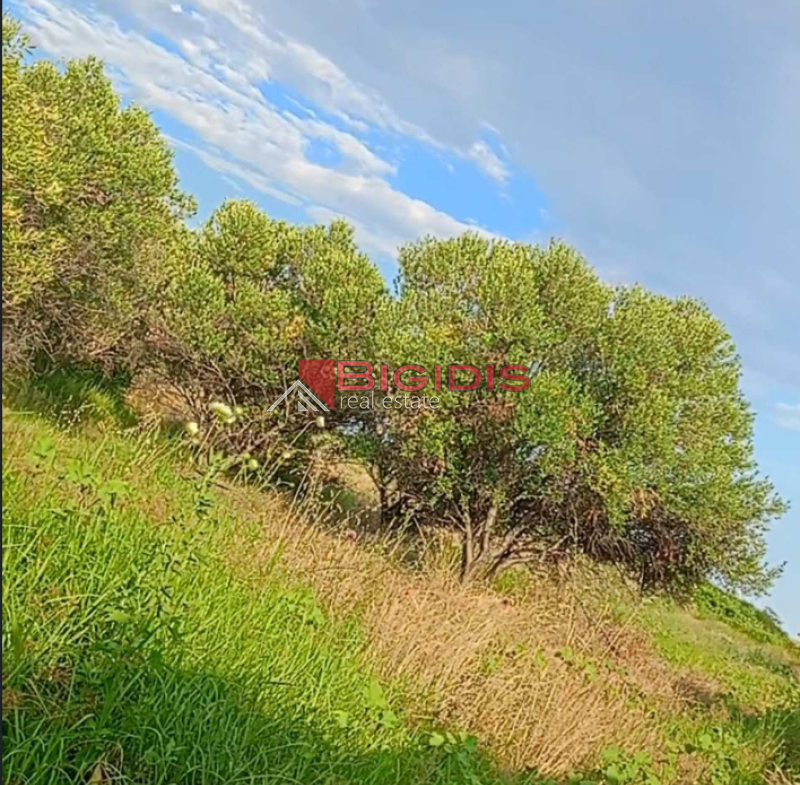 ΑΓΡΟΤΕΜΆΧΙΟ μόνο για τροχόσπιτα .
