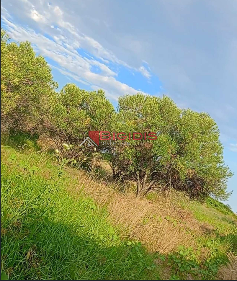 10-85222038 ΑΓΡΟΤΕΜΆΧΙΟ μόνο για τροχόσπιτα .