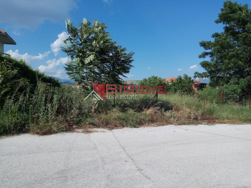 ΛΕΥΚΩΝΑΣ ΠΩΛΕΙΤΑΙ οικόπεδο συνολικής επιφάνειας 1048.00 τ.μ