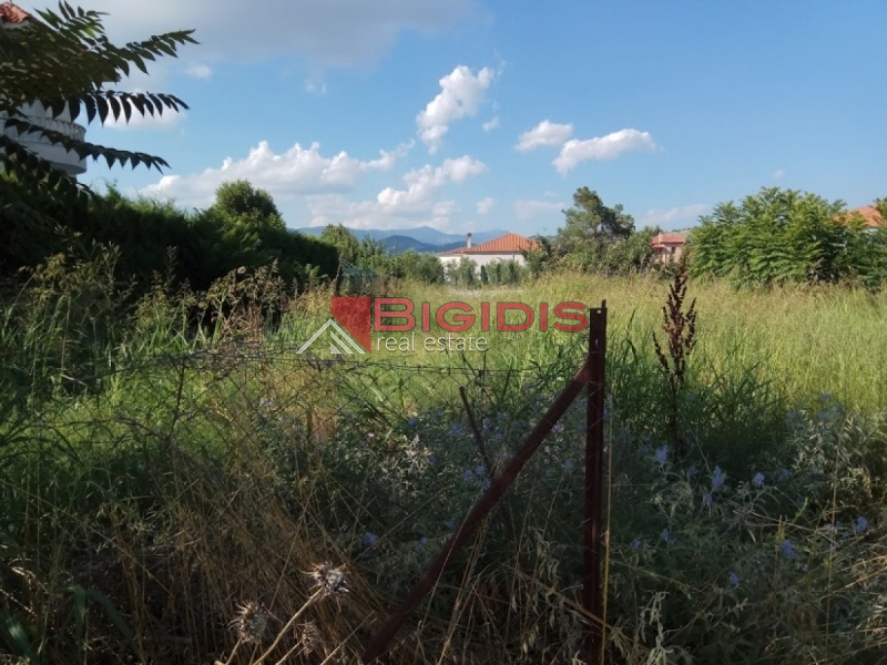 ΛΕΥΚΩΝΑΣ ΠΩΛΕΙΤΑΙ οικόπεδο συνολικής επιφάνειας 1048.00 τ.μ