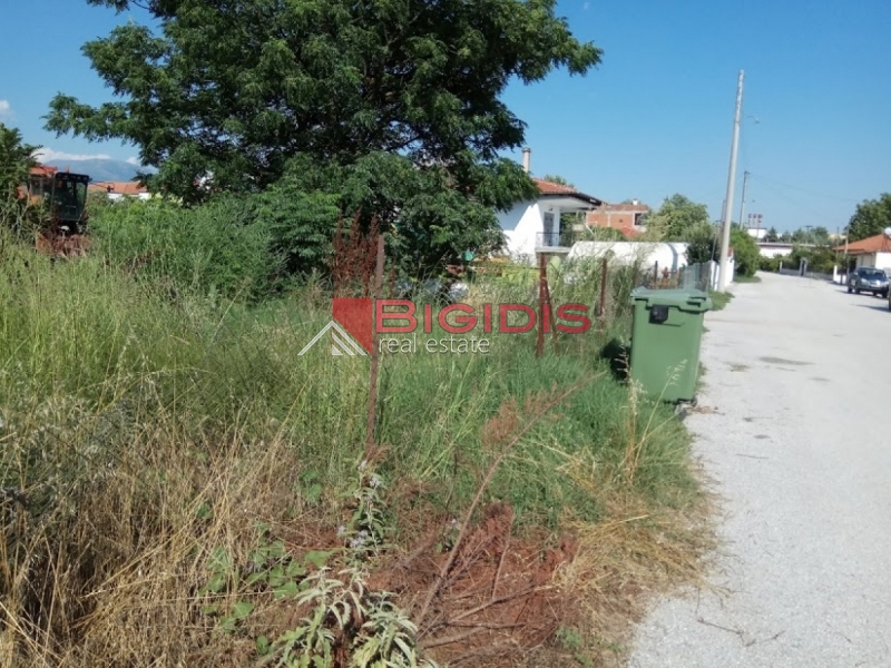 ΛΕΥΚΩΝΑΣ ΠΩΛΕΙΤΑΙ οικόπεδο συνολικής επιφάνειας 1048.00 τ.μ