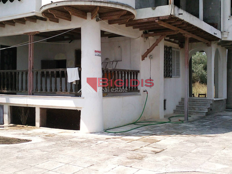 Μοναδικός Πύργος μεζονετα
