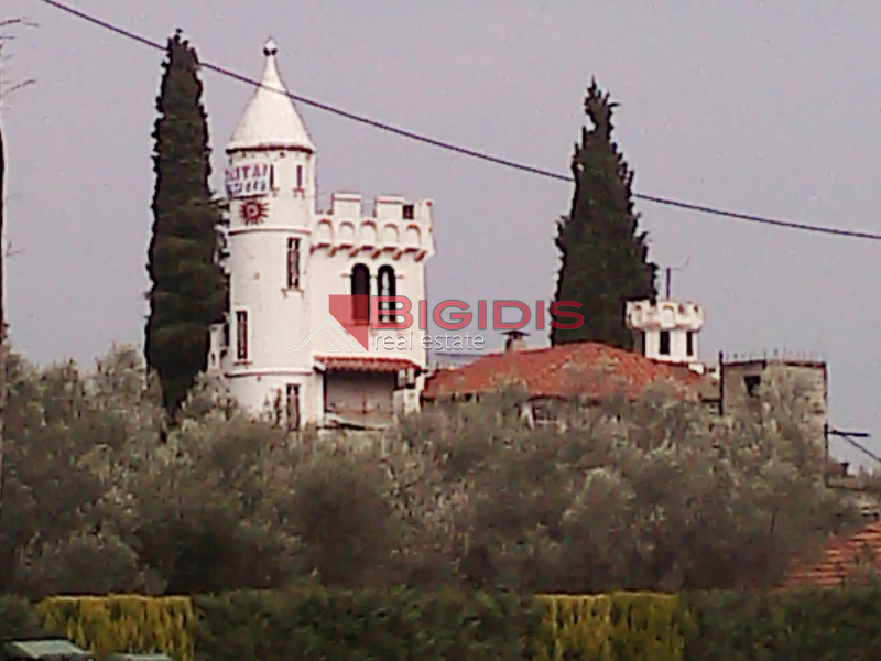 Μοναδικός Πύργος μεζονετα