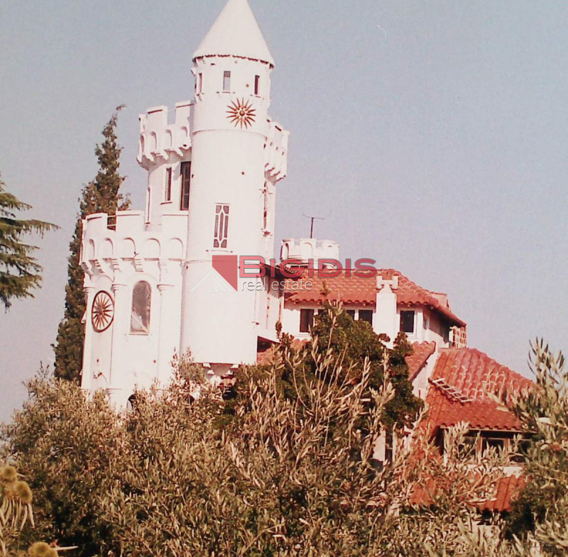 Μοναδικός Πύργος μεζονετα