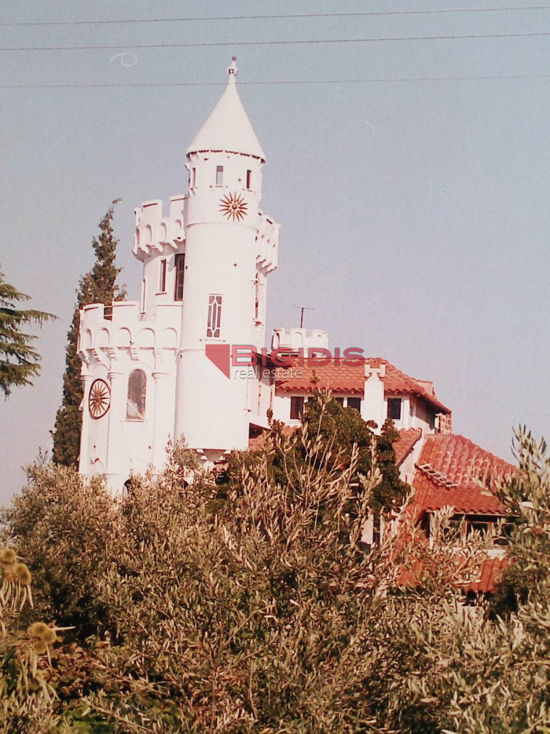 Μοναδικός Πύργος μεζονετα