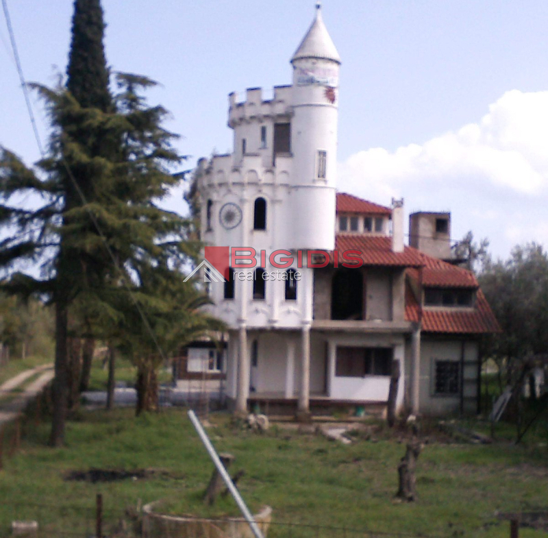 Μοναδικός Πύργος μεζονετα