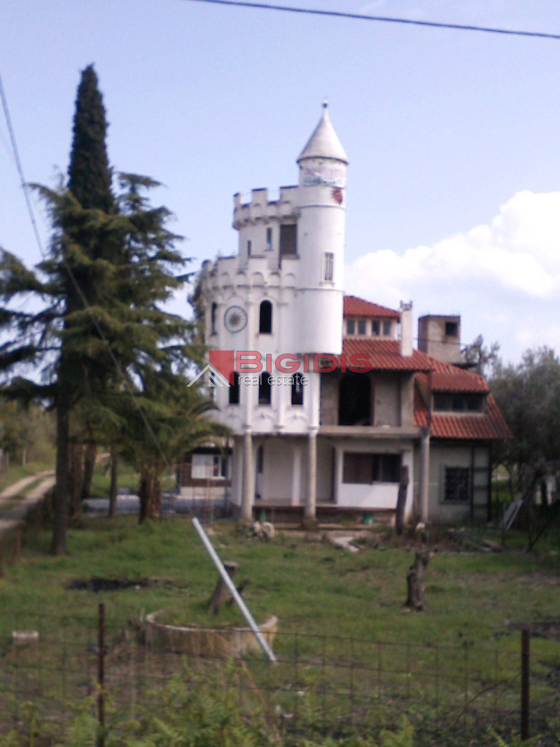 Μοναδικός Πύργος μεζονετα