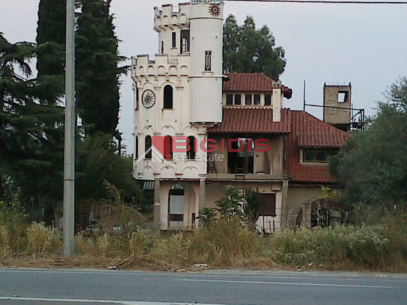 Μοναδικός Πύργος μεζονετα