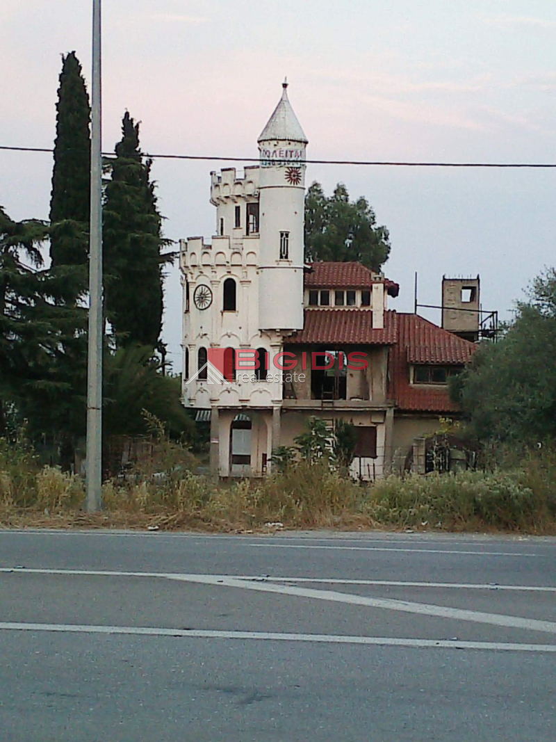 Μοναδικός Πύργος μεζονετα