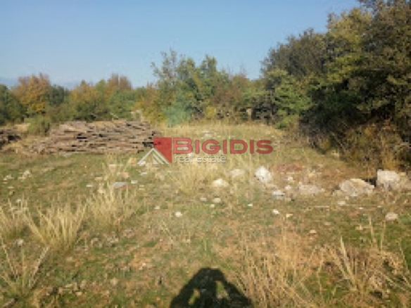 μοναδικό αγροτεμάχιο πανοραμικά  του Άγκιστρου