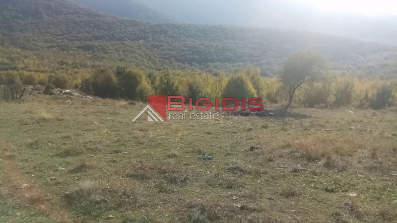 μοναδικό αγροτεμάχιο πανοραμικά  του Άγκιστρου