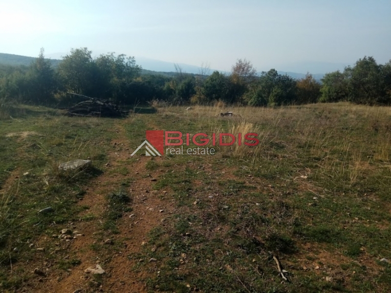 μοναδικό αγροτεμάχιο πανοραμικά  του Άγκιστρου