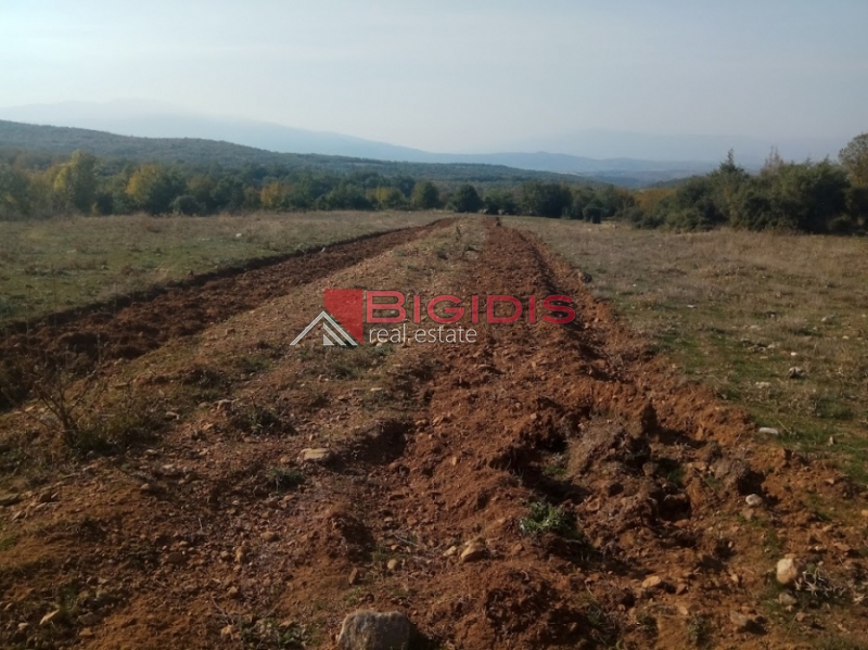 μοναδικό αγροτεμάχιο πανοραμικά  του Άγκιστρου