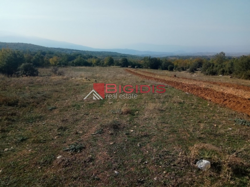 μοναδικό αγροτεμάχιο πανοραμικά  του Άγκιστρου