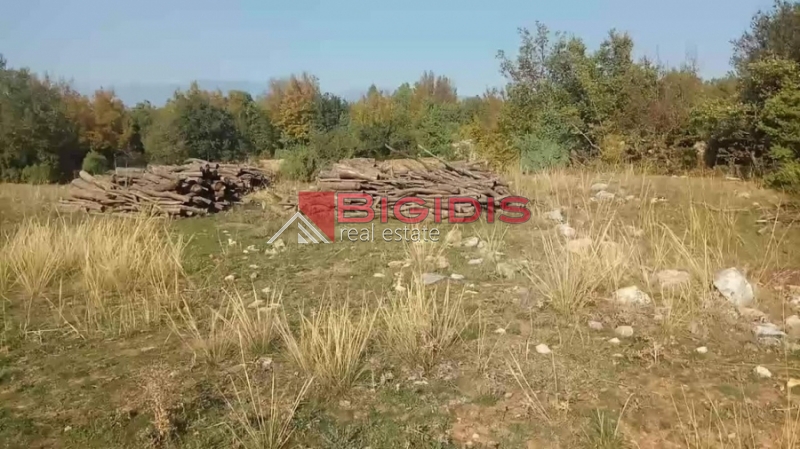 μοναδικό αγροτεμάχιο πανοραμικά  του Άγκιστρου