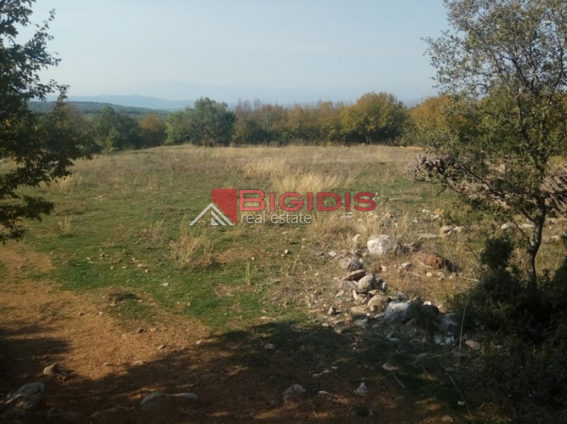 μοναδικό αγροτεμάχιο πανοραμικά  του Άγκιστρου
