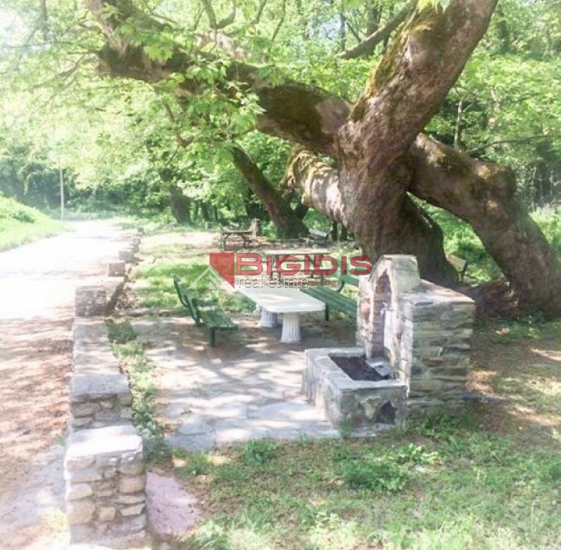 καινούργιο ΠΈΤΡΙΝΟ  παραδοσιακό σπίτι