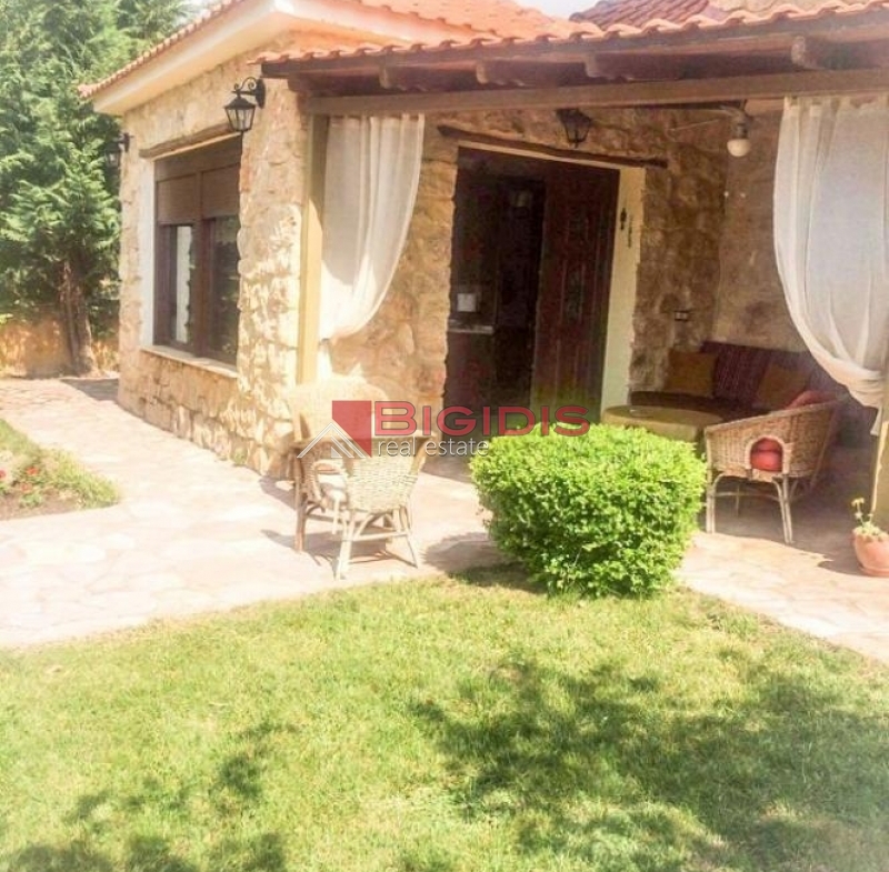 καινούργιο ΠΈΤΡΙΝΟ  παραδοσιακό σπίτι