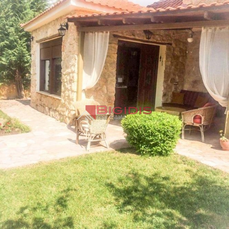 καινούργιο ΠΈΤΡΙΝΟ  παραδοσιακό σπίτι