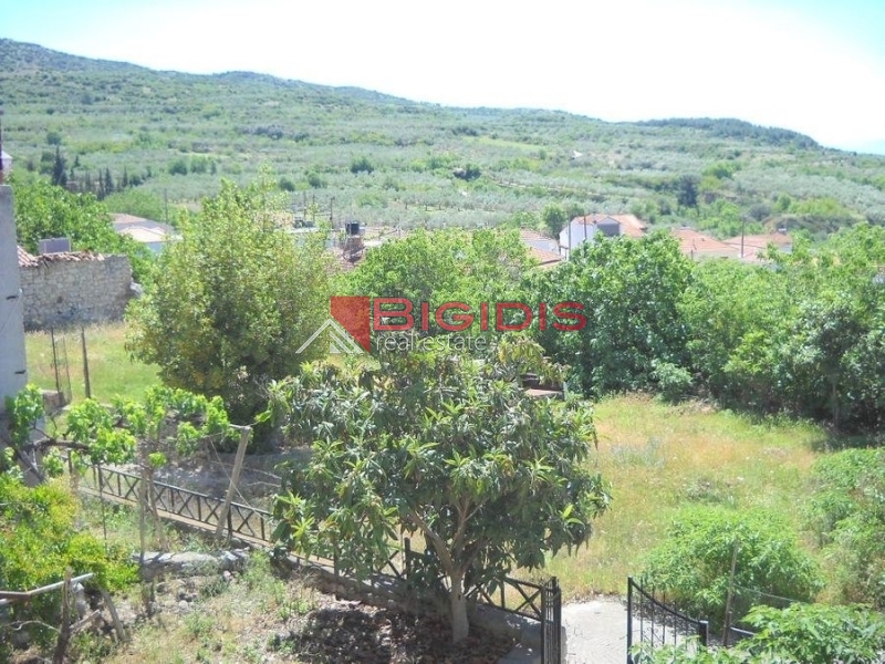 Κωδικός ακινήτου: 16930 – Σιδηρόκαστρο Βαμβακόφυτο ΠΩΛΕΙΤΑΙ μονοκατοικία ισόγειο συνολικής επιφάνειας 208.00 τ.μ