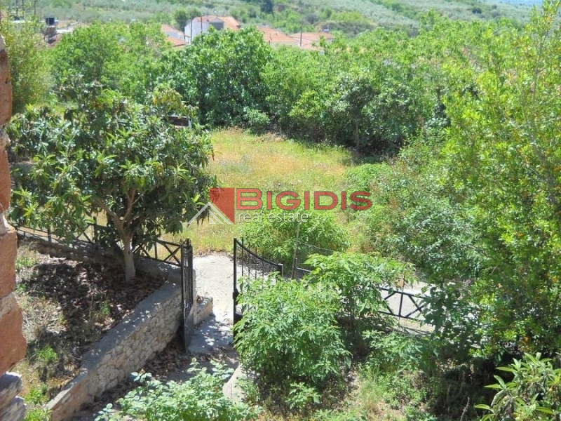 Κωδικός ακινήτου: 16930 – Σιδηρόκαστρο Βαμβακόφυτο ΠΩΛΕΙΤΑΙ μονοκατοικία ισόγειο συνολικής επιφάνειας 208.00 τ.μ
