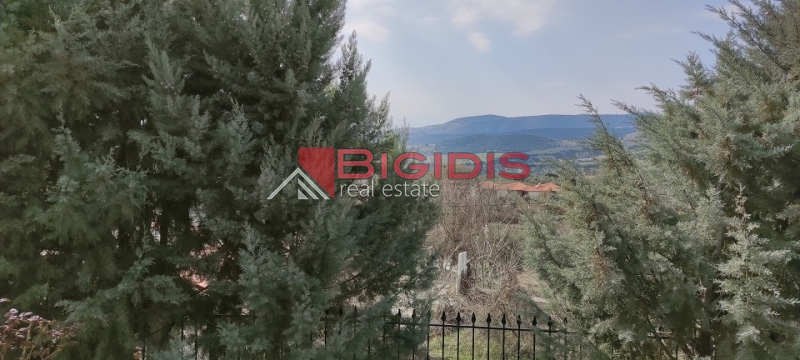 ΕΞΑΙΡΕΤΙΚΗ  βίλα στον Ελαιώνα