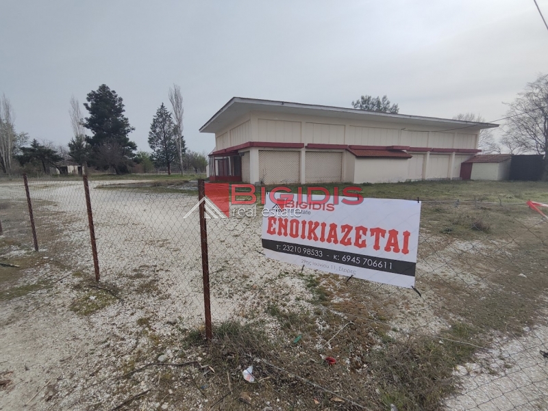 επαγγελματικό κτίριο με υποδομές μουσικής  ταβέρνας , νυχτερινού κέντρου  εκδηλώσεις